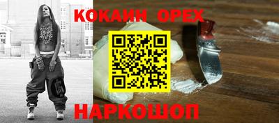 гидра Будённовск