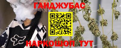 гидра Будённовск