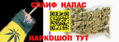 гидра Будённовск