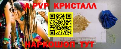 гидра Будённовск