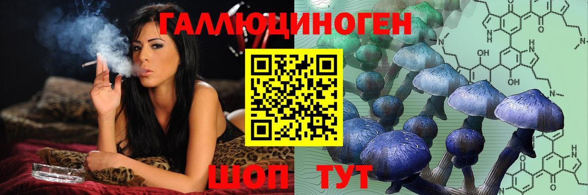 Псилоцибиновые грибы Cubensis Котовск