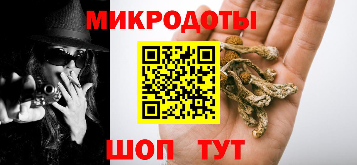 купить закладку  Галлюциногенные грибы MAGIC MUSHROOMS  Вход с VPN  Котовск 